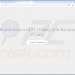 SpeedyLook browser hijacker Projektträger 2