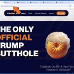 $TRUMP Airdrop Scam gefälschte Website 2