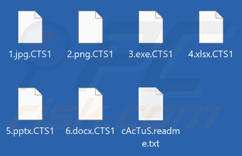 Von Cactus Ransomware verschlüsselte Dateien (.CTS1 Erweiterung)