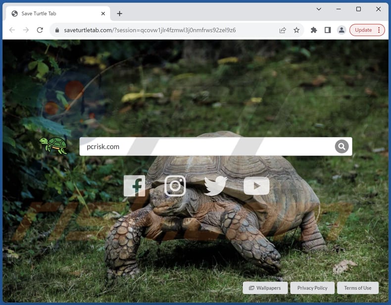 saveturtletab.com browser hijacker