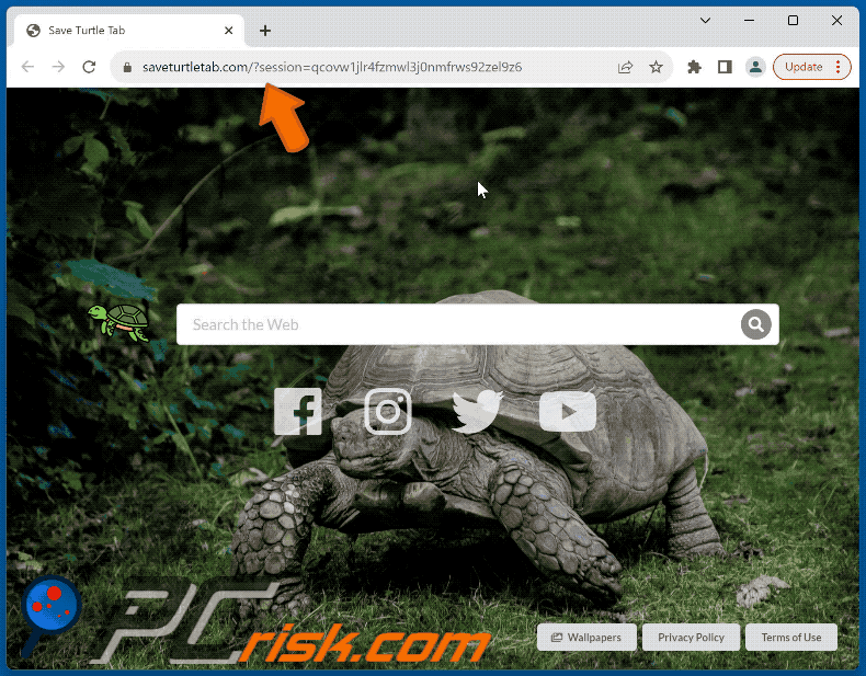 Save Turtle Tab Browser-Hijacker saveturtletab.com leitet zu google.com um