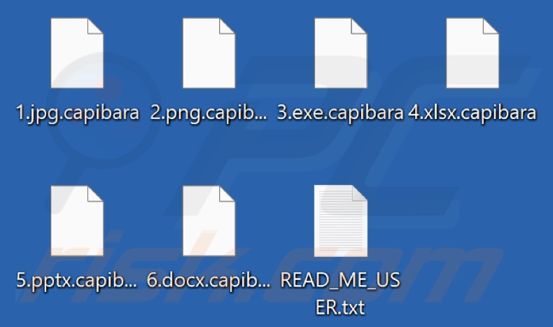 Von Capibara ransomware verschlüsselte Dateien (.capibara-Erweiterung)