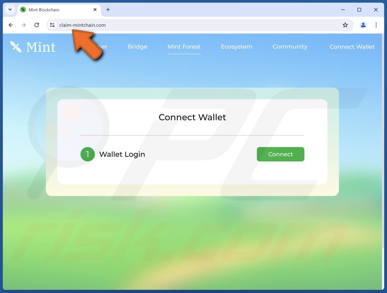 Mint Blockchain Wallet Connect Betrug