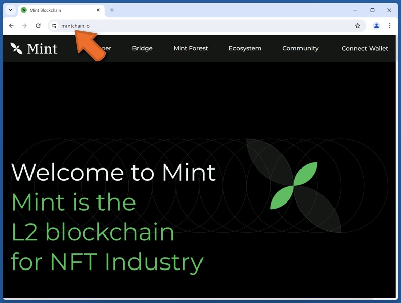 Erscheinungsbild der Real-Mint-Website (mintchain.io)