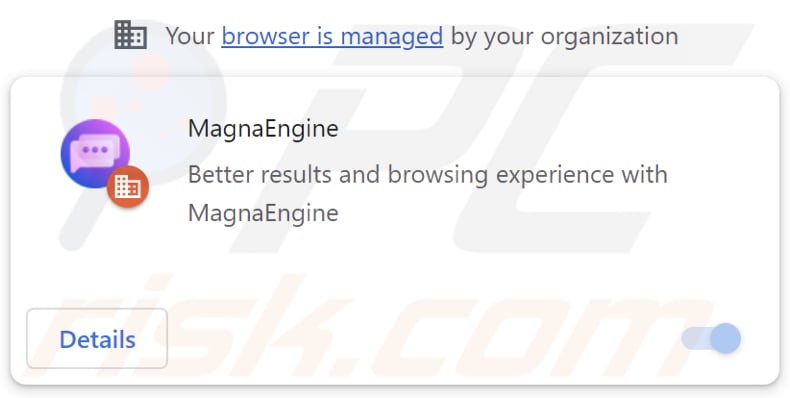 magnasearch.org Browserentführer