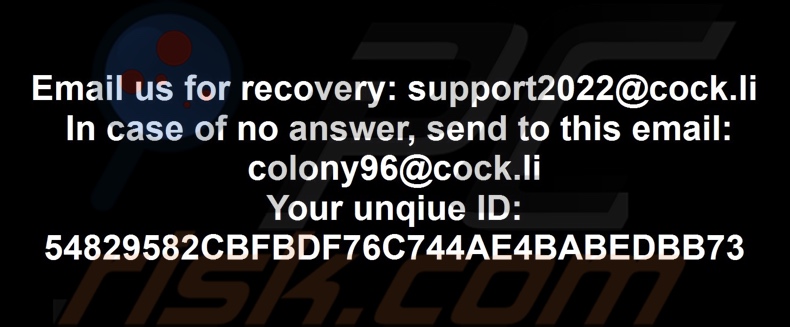 Colony ransomware Hintergrundbild