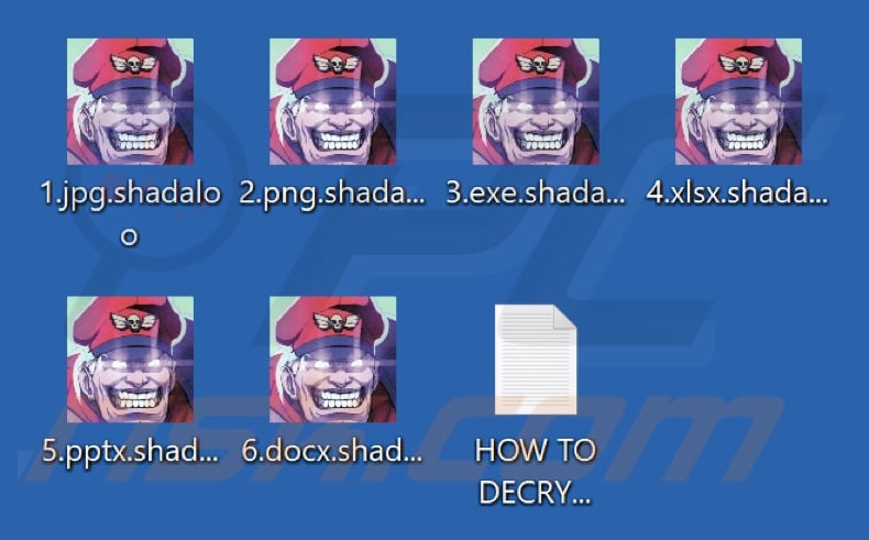 Von Shadaloo-Ransomware verschlüsselte Dateien (.shadaloo-Erweiterung)
