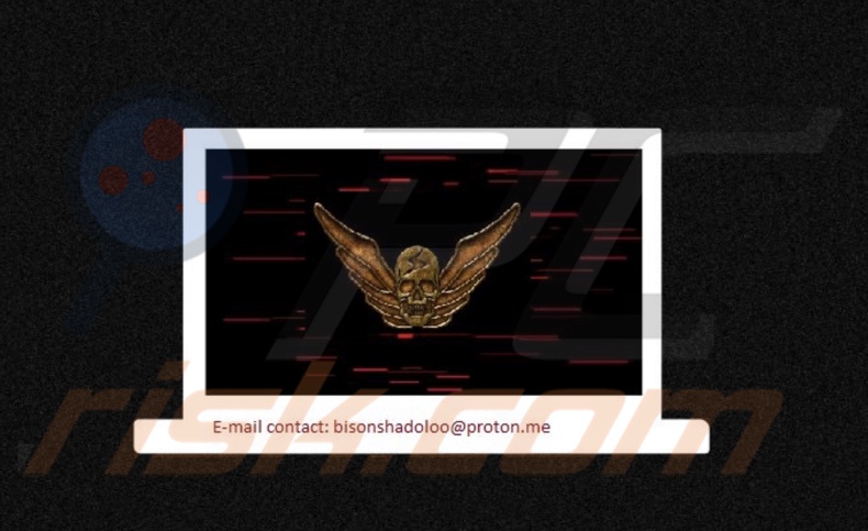 Shadaloo ransomware Hintergrundbild