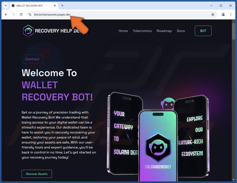 Wallet Recovery Bot Betrug