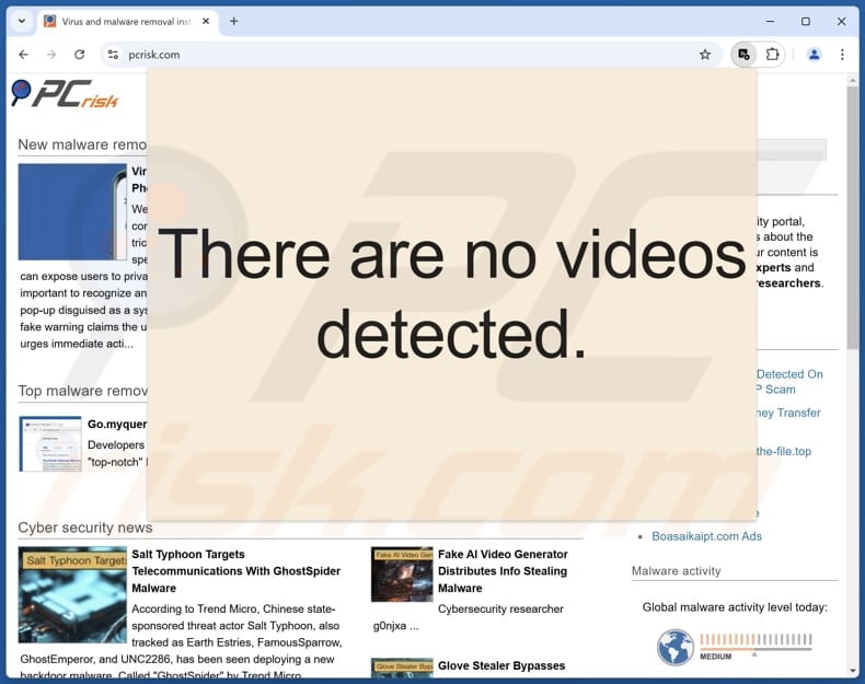 Pro Video Downloader adware Aussehen