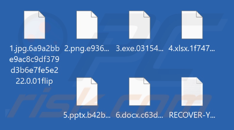 Mit 01Flip Ransomware verschlüsselte Dateien (Erweiterung .01flip)