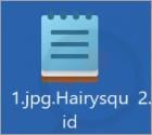 Hairysquid Ransomware