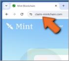 Mint Blockchain Wallet Connect Betrug