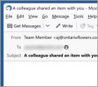 A Team Member Shared An Item Email Betrug
