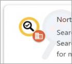 Gefälschte Norton Safe Search Enhanced Erweiterung