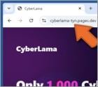 CyberLama Mint Betrug