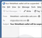 MetaMask Log-In Attempt Email Betrug