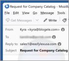 Share Your Company Catalog Email Betrug