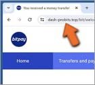 Gefälschte BitPay Wallet Betrug