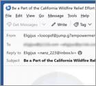 Binance Charity - California Wildfires Fundraiser Email Betrug