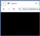 Volemist.co.in Werbung