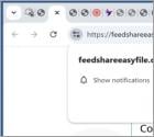 Feedshareeasyfile.com Werbung