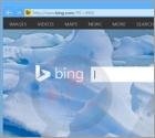 BingProtect Browserentführer