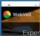 WebVeil Browser