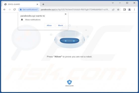 Paraboobs.xyz Werbung