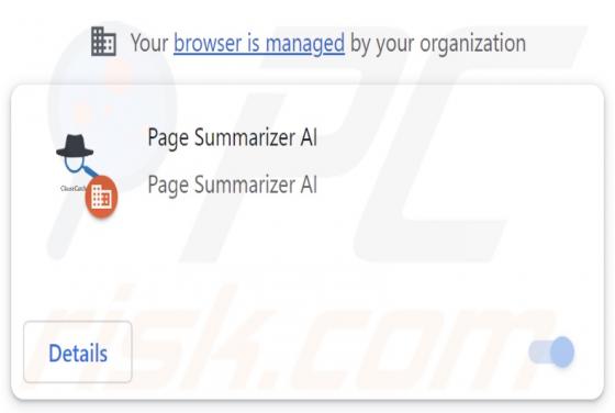 Page Summarizer AI Browserentführer