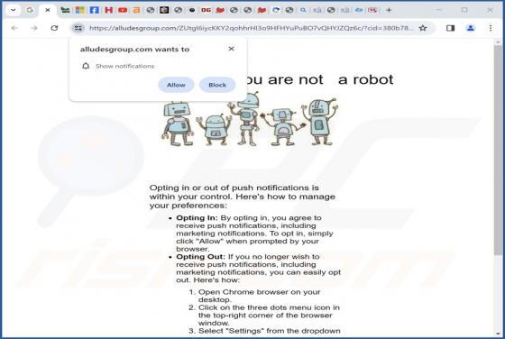 Alludesgroup.com Werbung