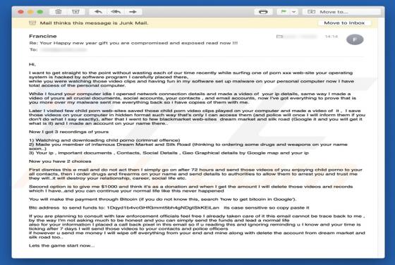 I Want To Get Straight To The Point Email Betrug