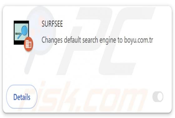 SURFSEE Browserentführer