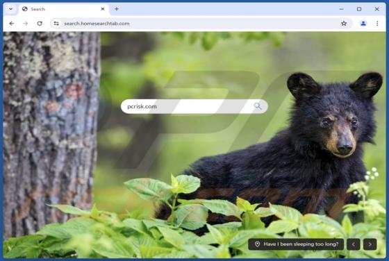 Search.homesearchtab.com Weiterleitung