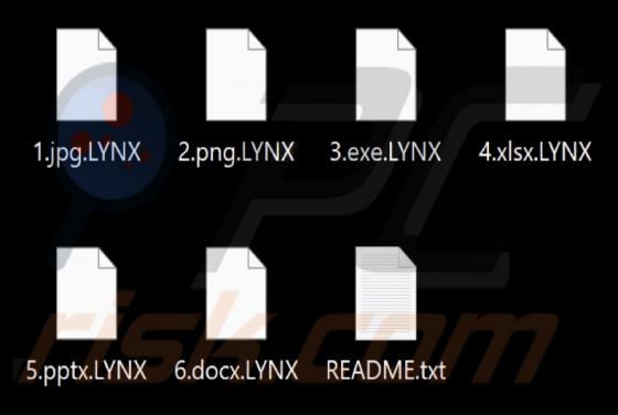 Lynx Ransomware