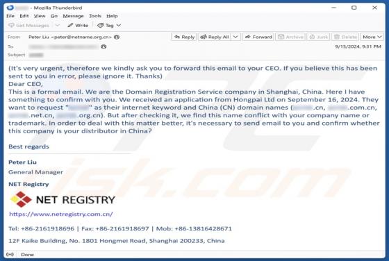 Domain/Company Name Conflict Email Betrug