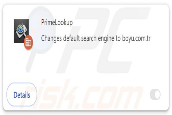 PrimeLookup Browserentführer