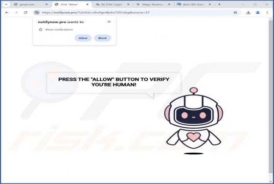 Notifynow.pro Werbung
