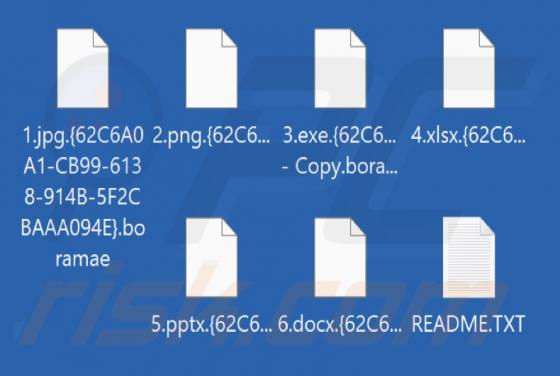 Boramae Ransomware