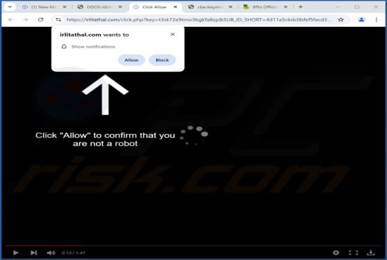 Irlitathal.com Werbung