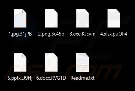 MattVenom Ransomware