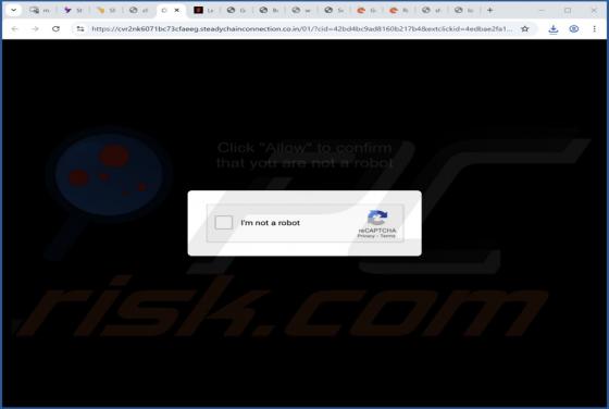 Steadychainconnection.co.in Werbung