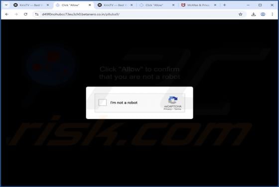 Betanero.co.in Werbung