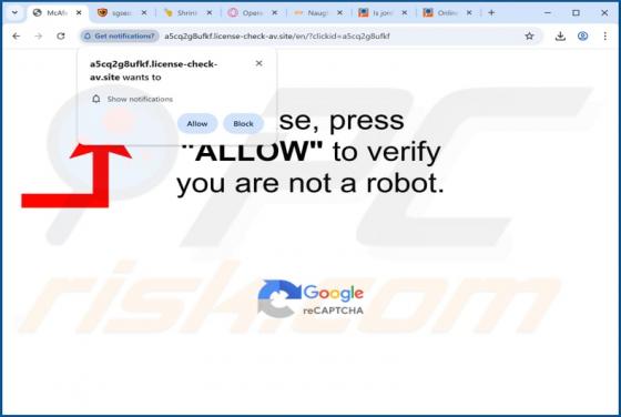 License-check-av.site Werbung