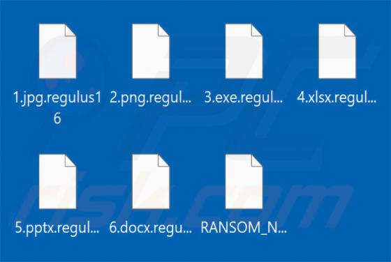 Regulus Ransomware
