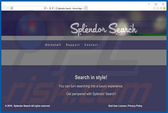 Splendor Search Werbung