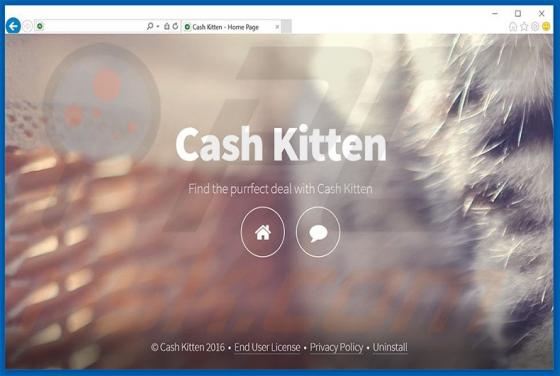 Cash Kitten Werbung