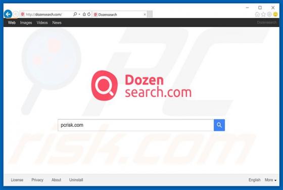 Dozensearch.com Weiterleitung