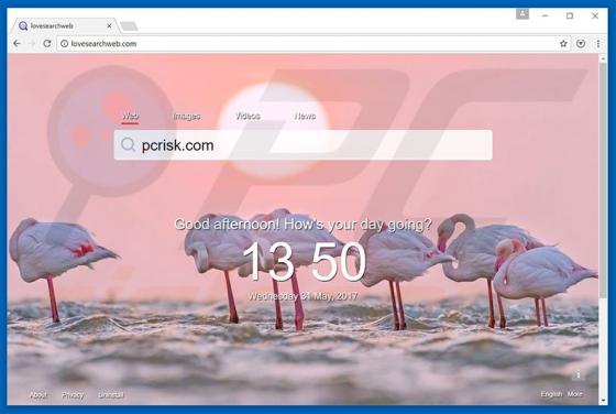 Lovesearchweb.com Weiterleitung