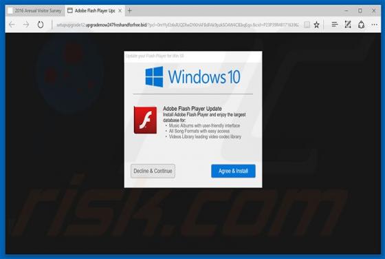 Adobe Flash Player Update Schwindel